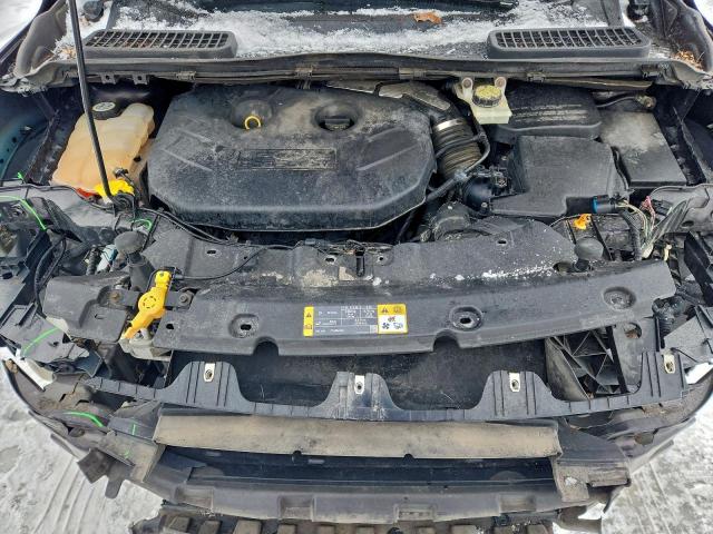 Ford Escape Titanium Image 6