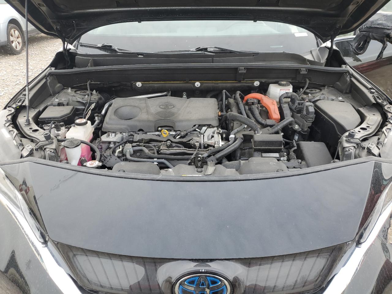 Toyota Venza Le Image 10