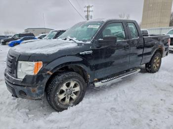  Salvage Ford F-150