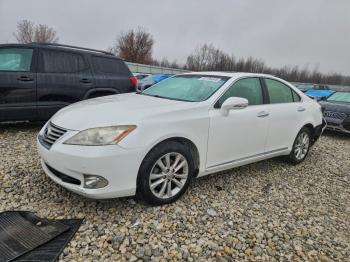  Salvage Lexus Es