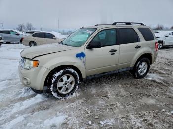  Salvage Ford Escape