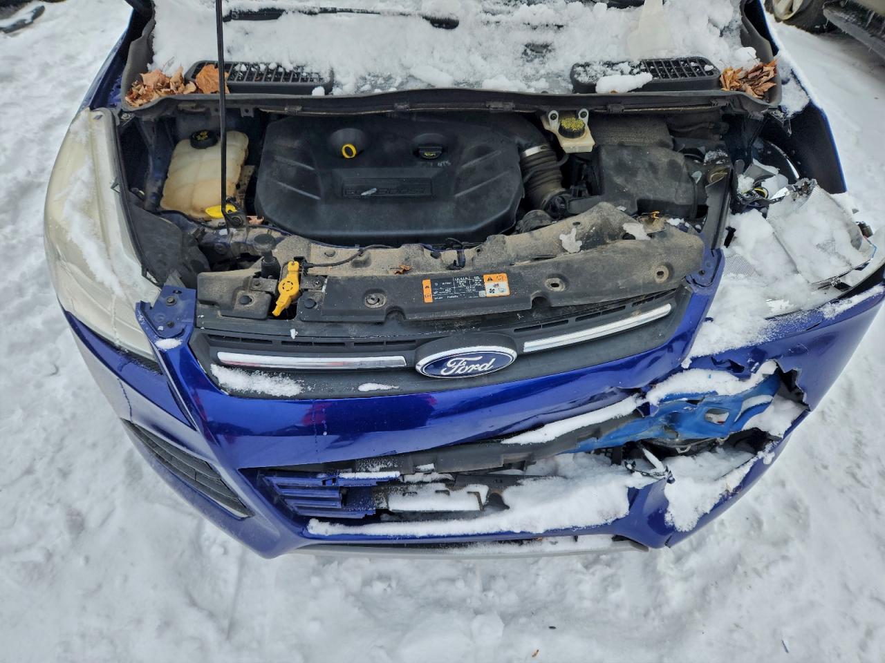 Ford Escape Se Image 5