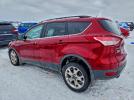 Ford Escape Se Image 3