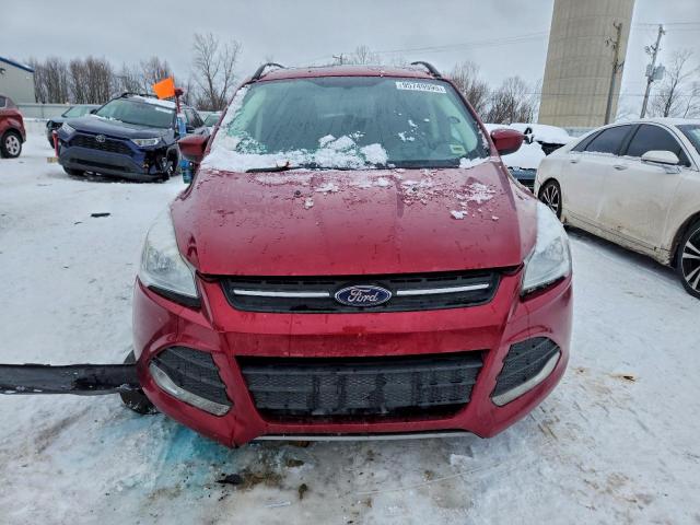 Ford Escape Se Image 5