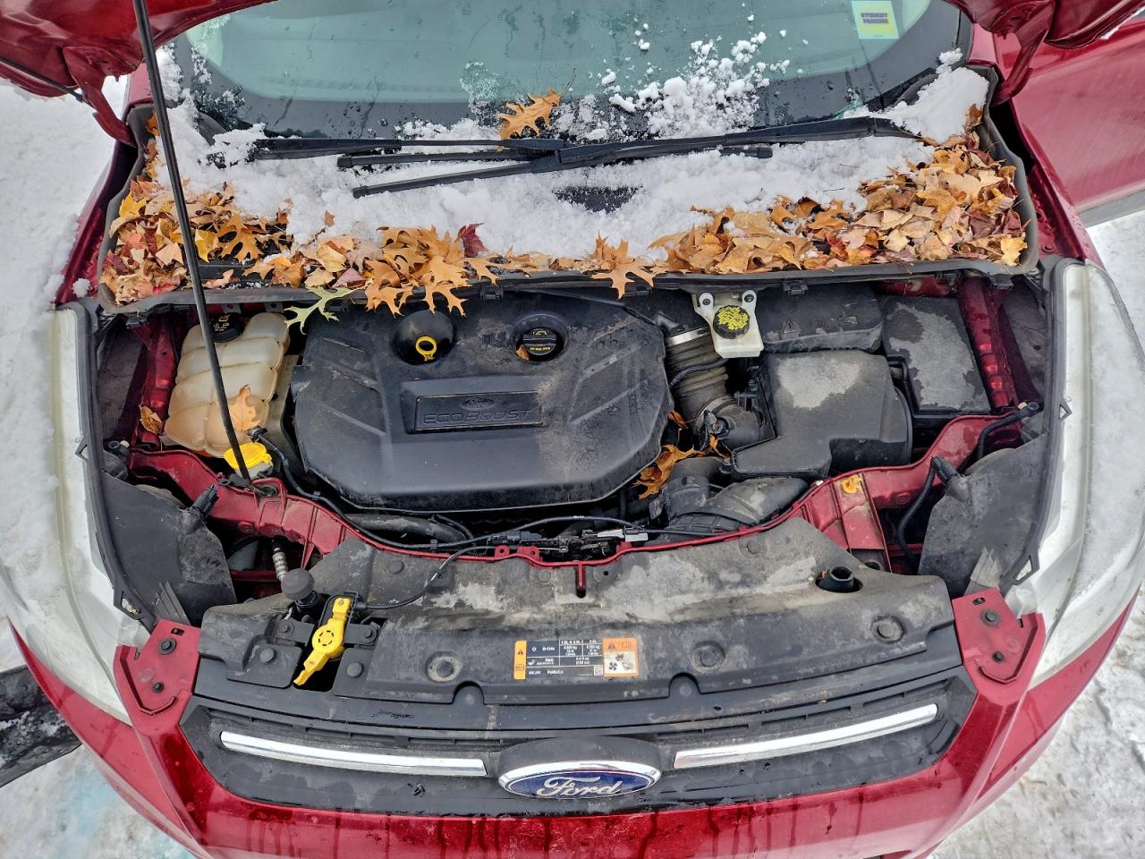 Ford Escape Se Image 9