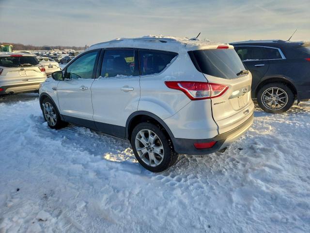 Ford Escape Titanium Image 3