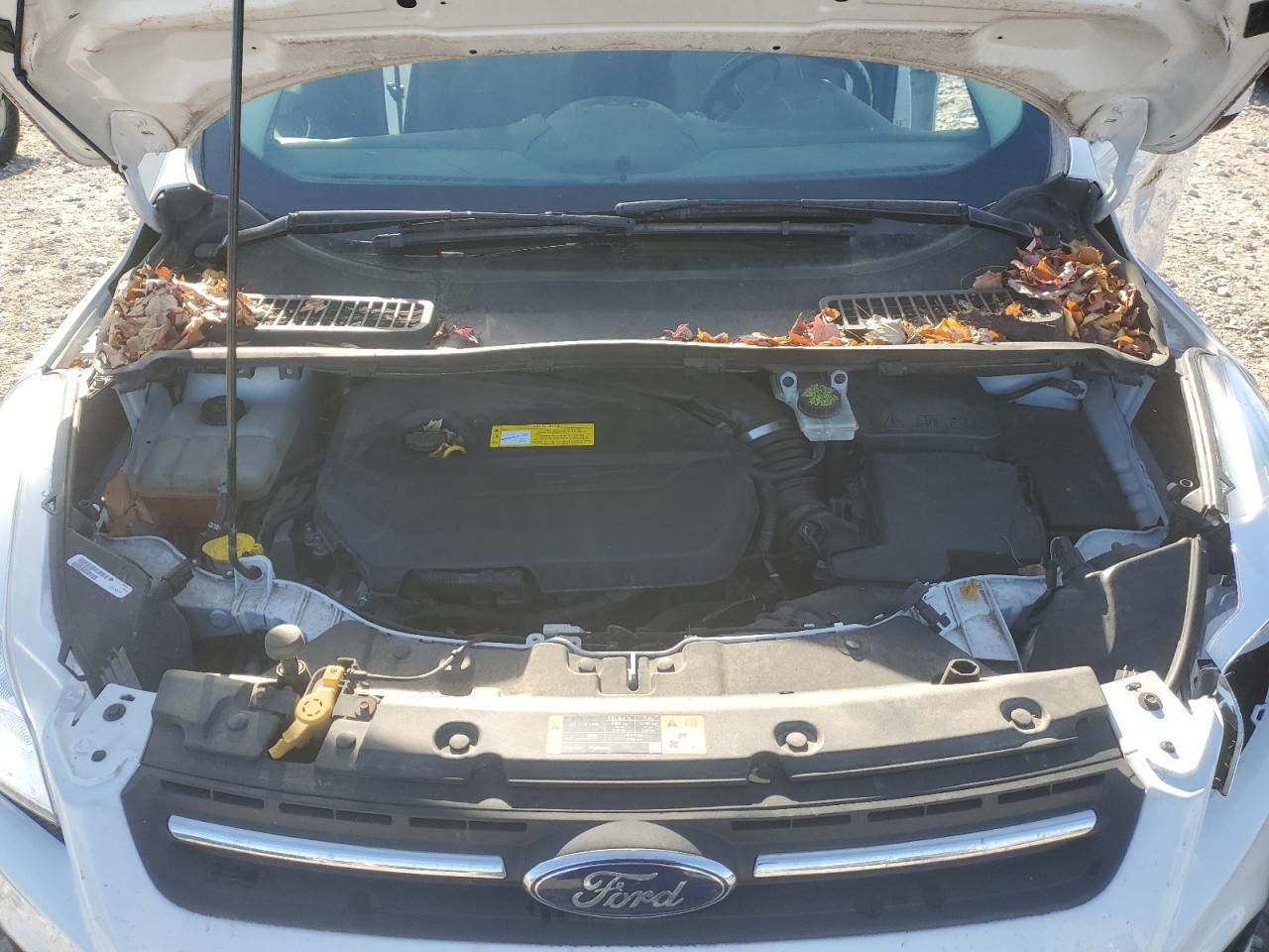 Ford Escape Se Image 5