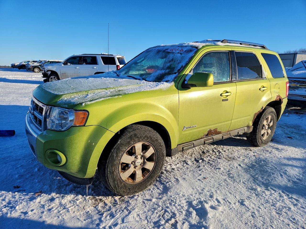 Ford Escape Hybrid Image 1