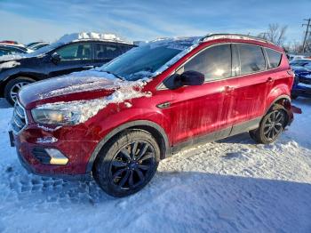  Salvage Ford Escape