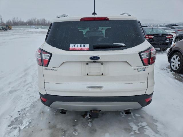 Ford Escape Titanium Image 8