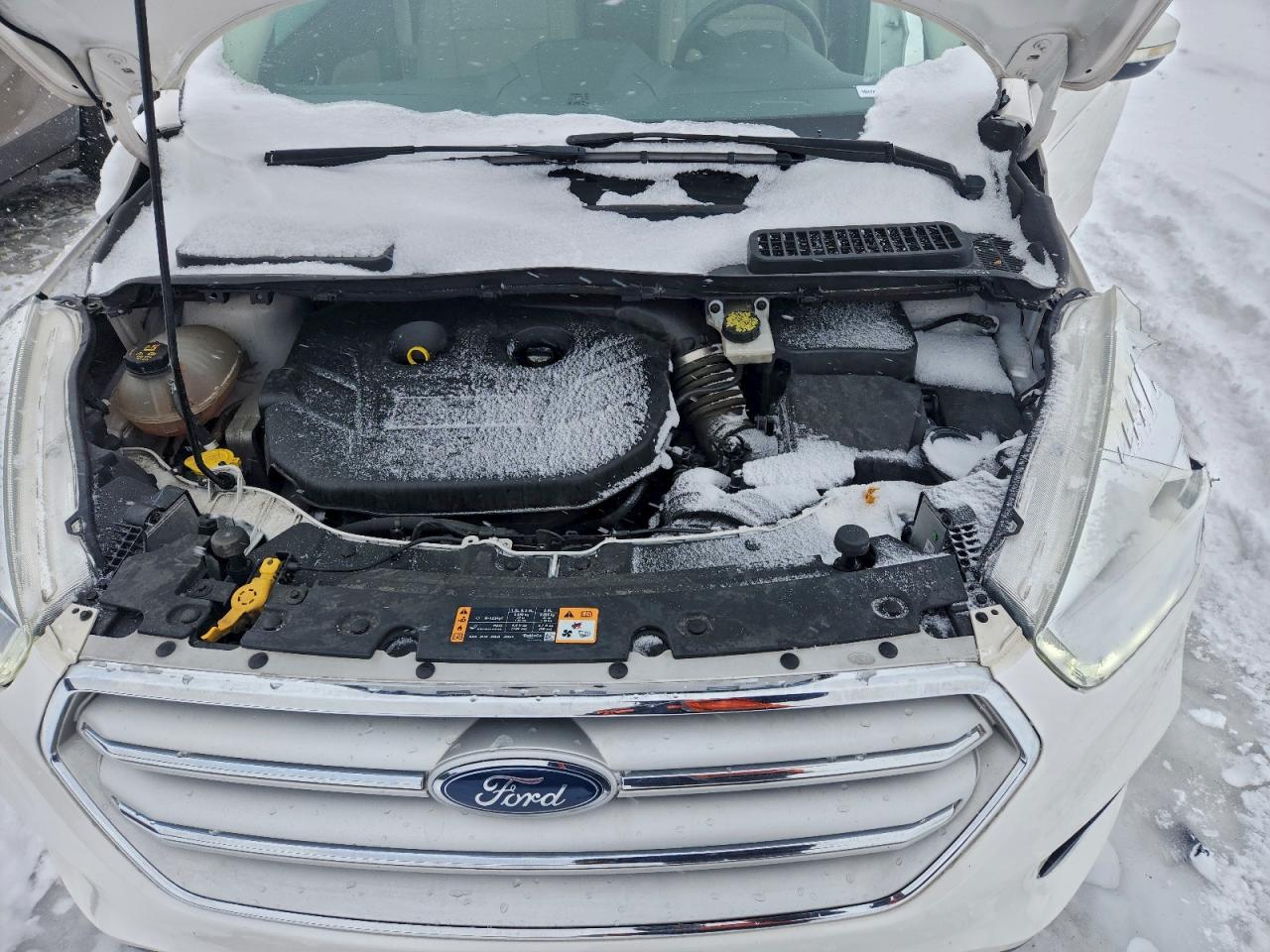 Ford Escape Titanium Image 5