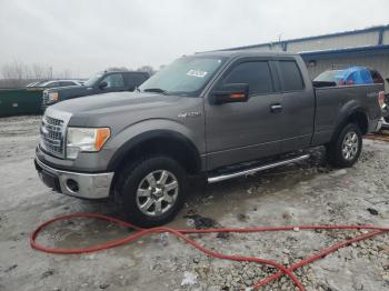  Salvage Ford F-150
