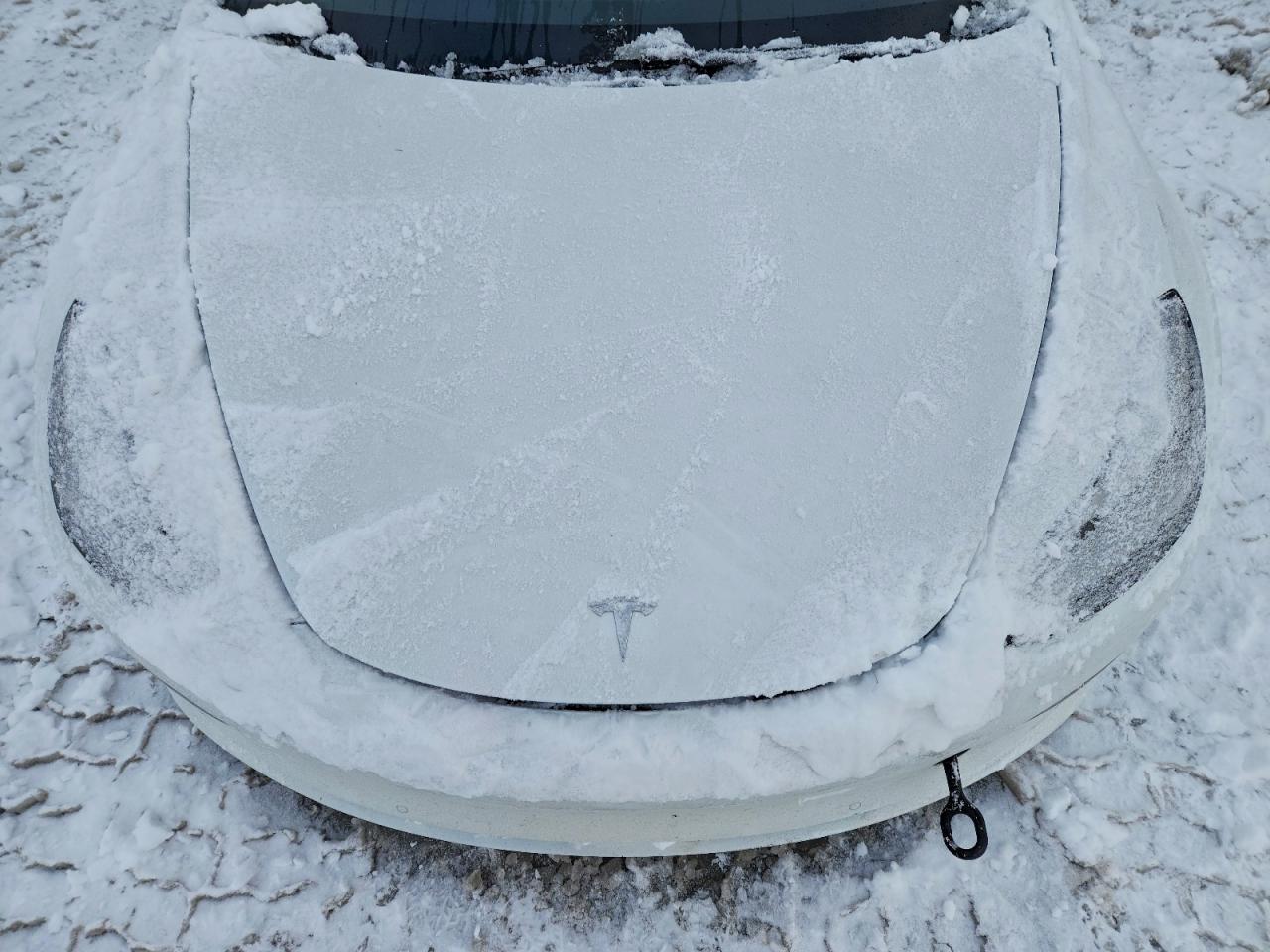 Tesla Model 3 Image 9