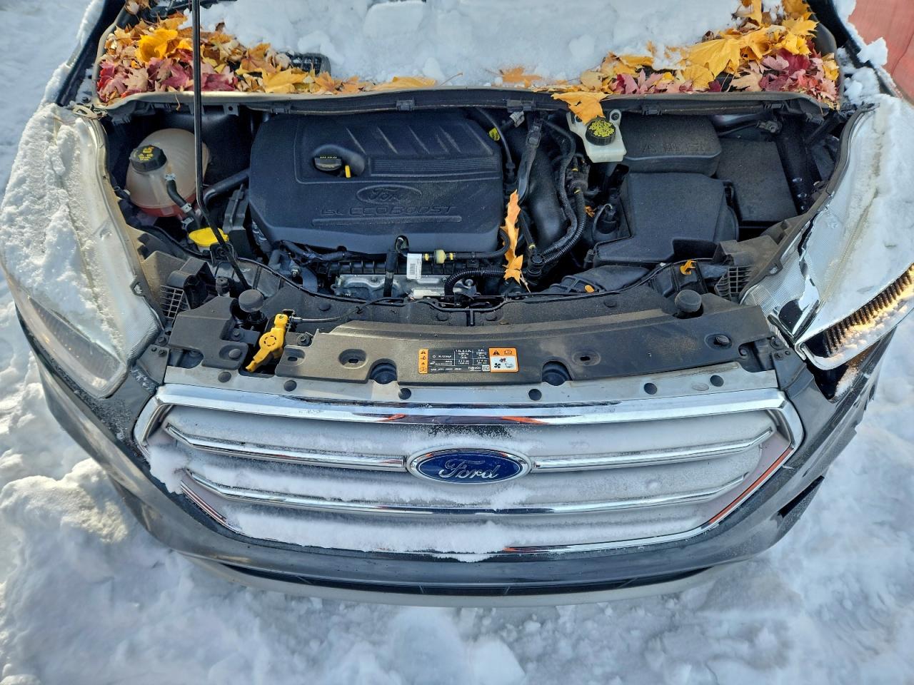 Ford Escape Se Image 9