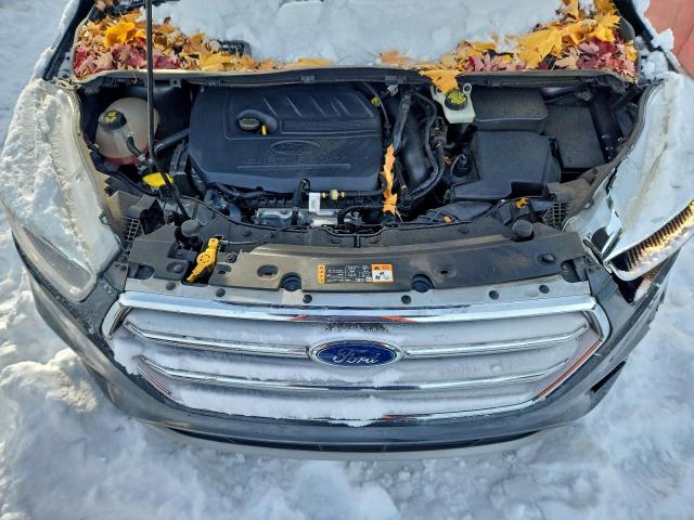 Ford Escape Se Image 9