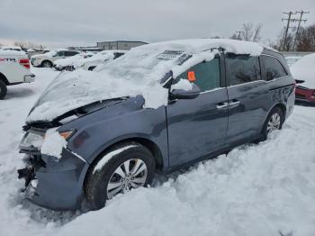  Salvage Honda Odyssey
