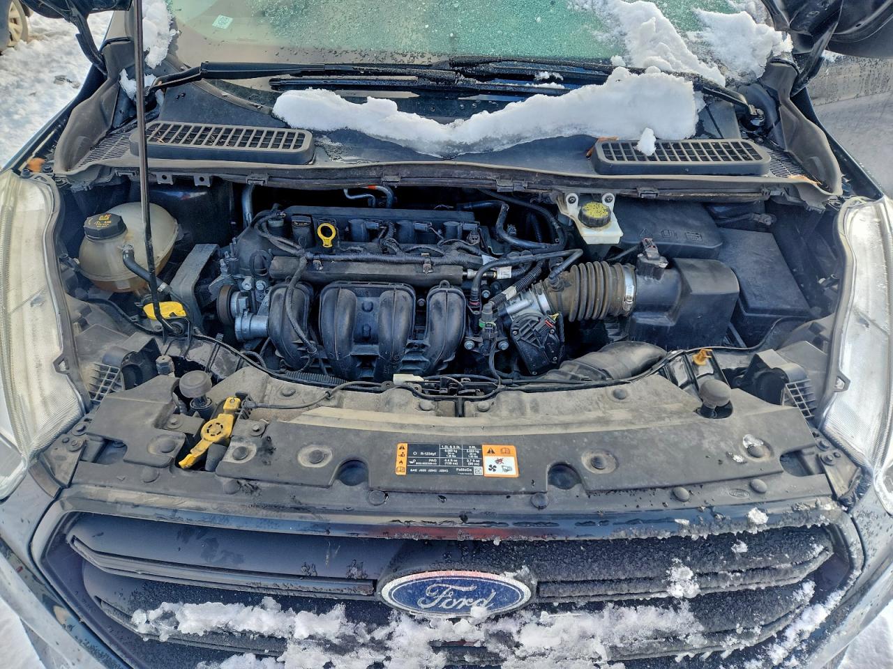 Ford Escape S Image 6