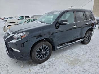  Salvage Lexus Gx