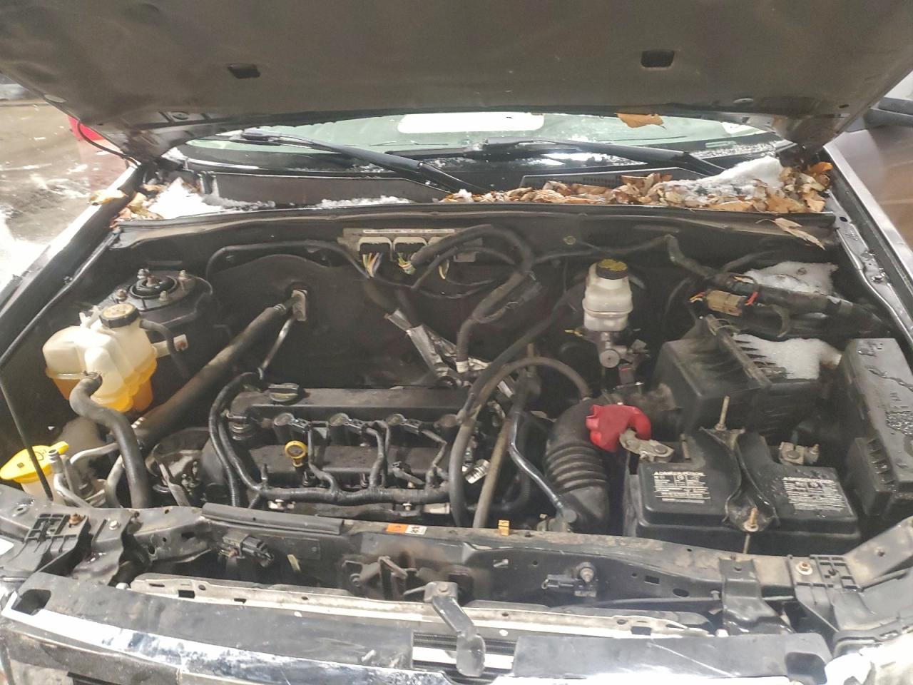 Ford Escape Xlt Image 9