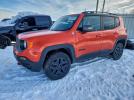 Jeep Renegade Trailhawk Image 1