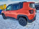 Jeep Renegade Trailhawk Image 2