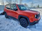Jeep Renegade Trailhawk Image 6
