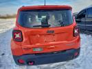 Jeep Renegade Trailhawk Image 4