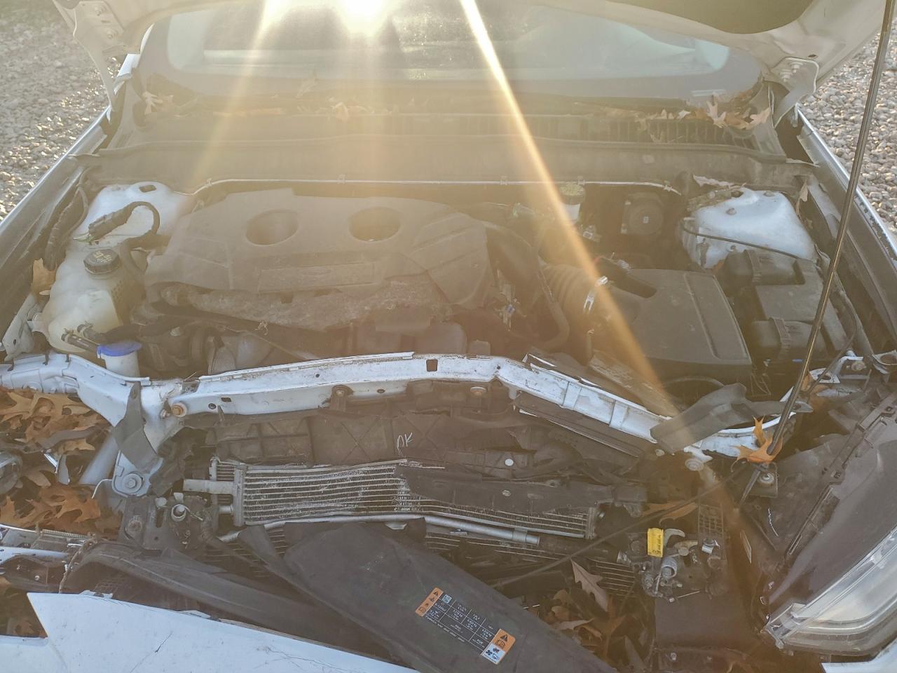 Ford Fusion Se Image 8