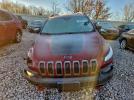 Jeep Cherokee Trailhawk Image 3