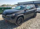 Jeep Cherokee Trailhawk Image 1