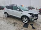 Ford Escape Se Image 3
