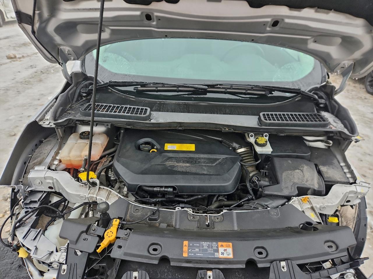 Ford Escape Se Image 6