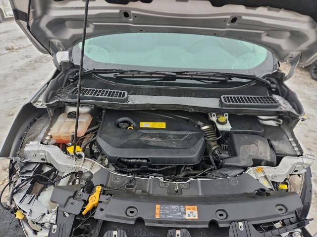 Ford Escape Se Image 6