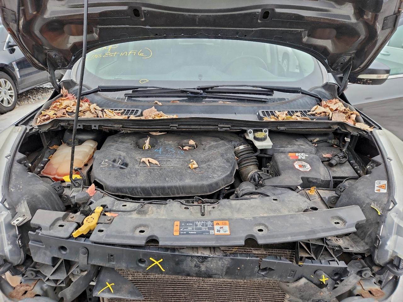 Ford Escape Titanium Image 10