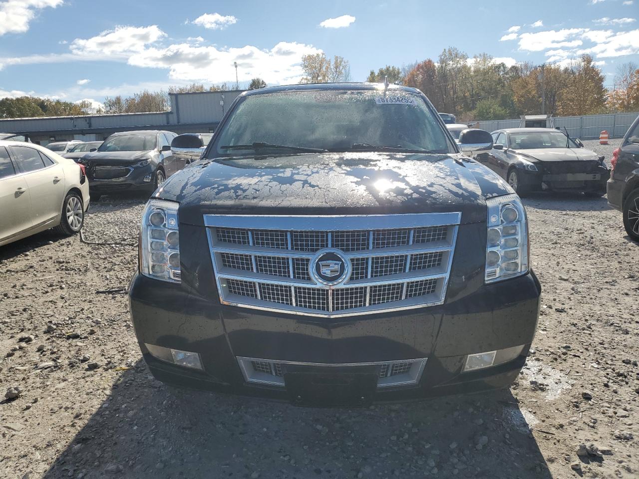 Cadillac Escalade Esv Platinum Image 13