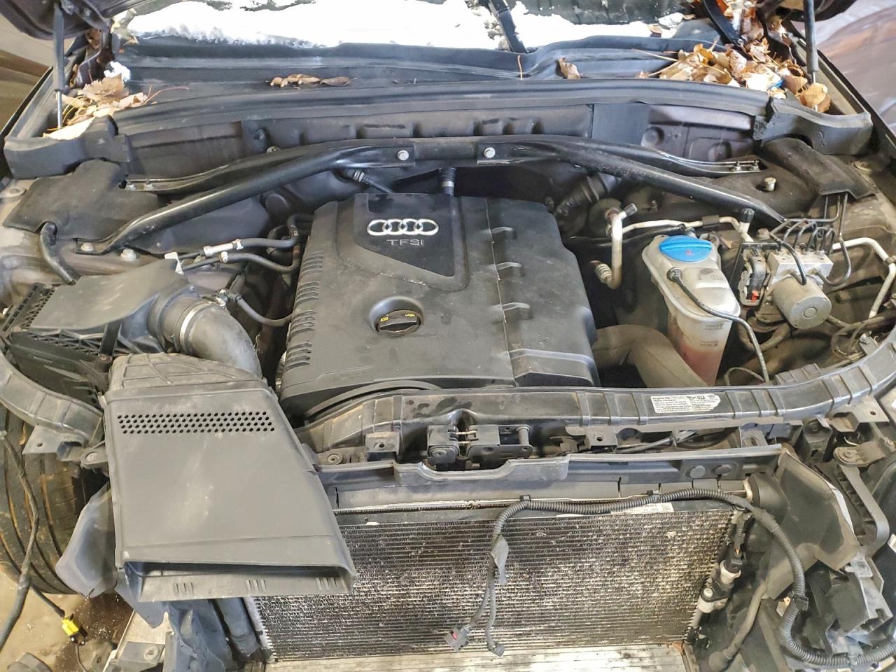 Audi Q5 Premium Plus Image 13