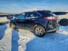 Ford Edge Sel Image 4