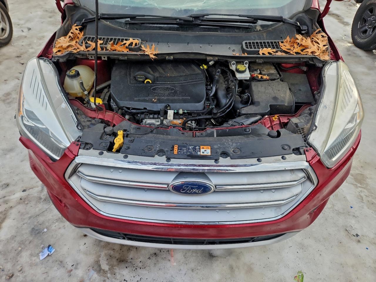 Ford Escape Se Image 12