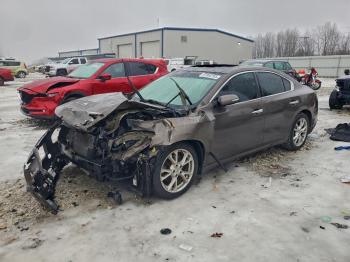  Salvage Nissan Maxima
