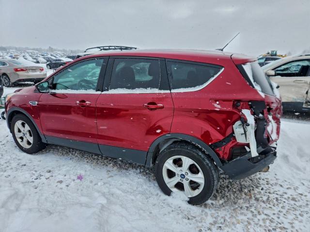 Ford Escape Se Image 7
