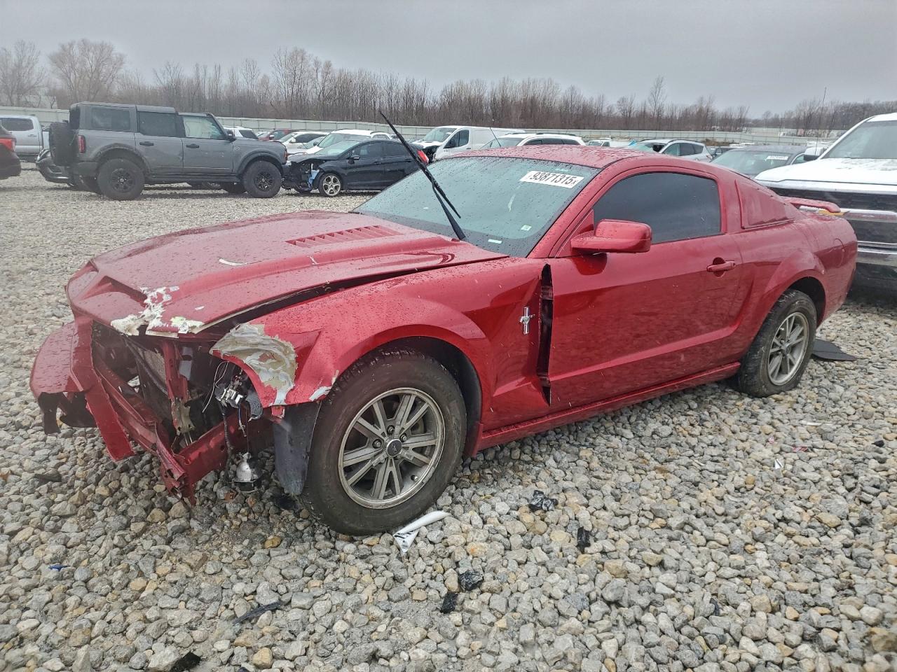 Ford Mustang Image 1