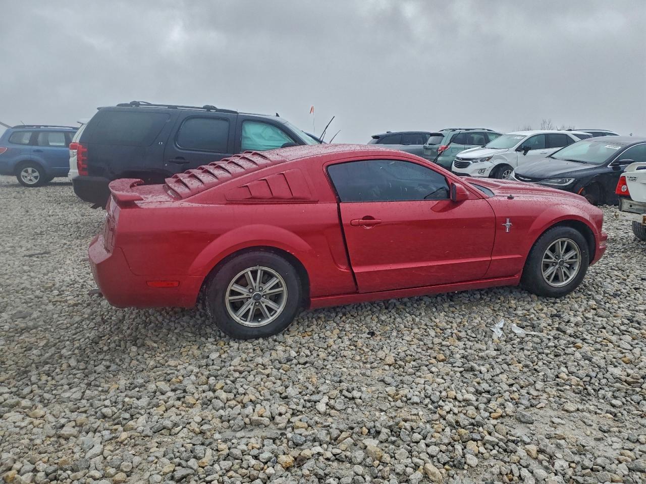 Ford Mustang Image 3