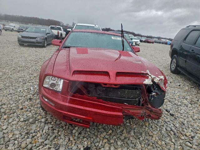 Ford Mustang Image 2