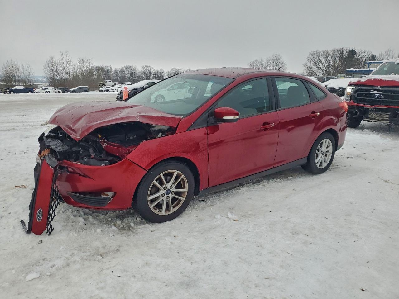 Ford Focus Se Image 1