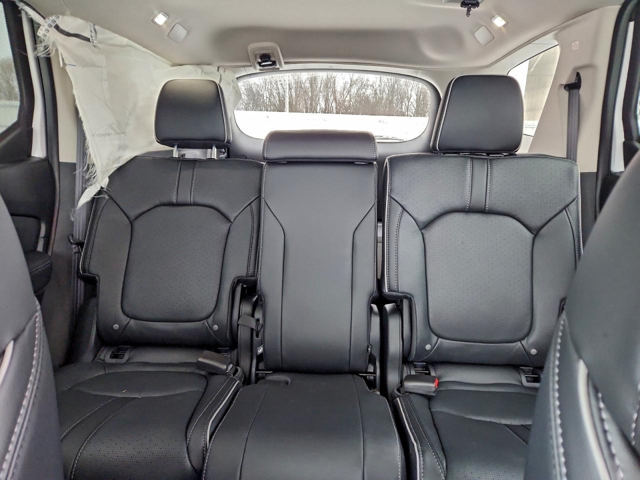 Honda Pilot Elite Image 6