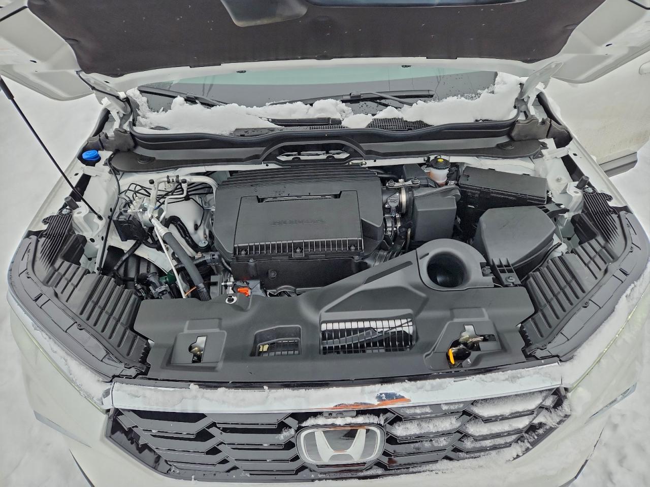 Honda Pilot Elite Image 9