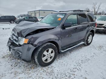  Salvage Ford Escape