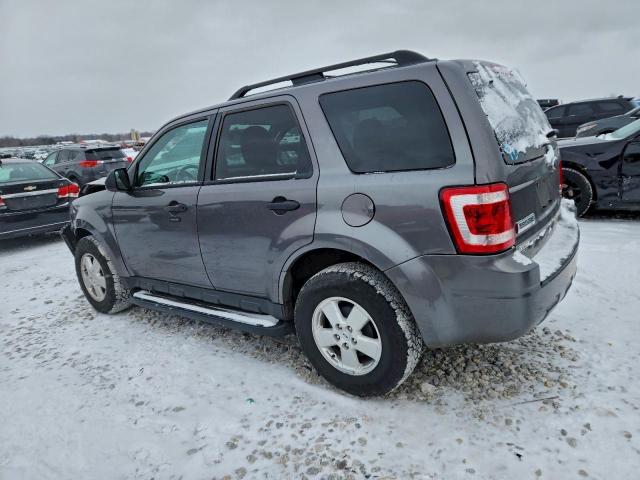 Ford Escape Xlt Image 3