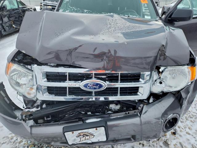 Ford Escape Xlt Image 4